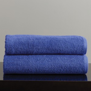 SOL 01.Royal blue πετσ΄έτα πισίνας